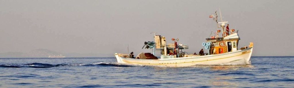 Visboot e1342514190926