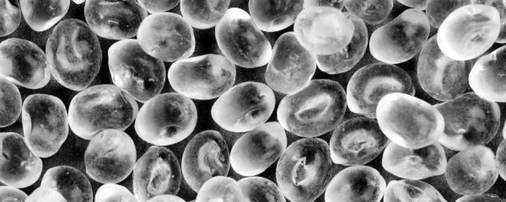 2012 09 Bioplastic Misverstanden v01 e1348674718744