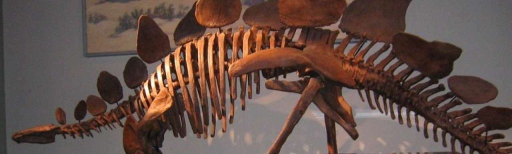 20120920 Siemens Stegosaurus v01 e1348129913287