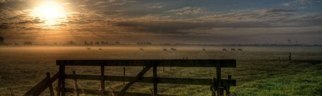 Polder2 e1348587388839