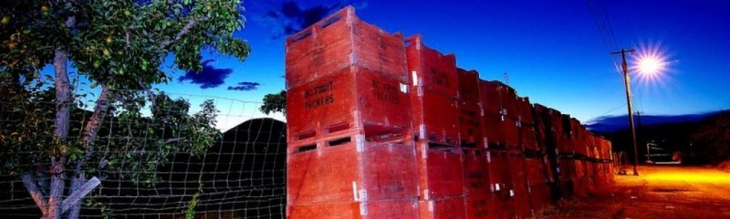 Fruitlogistics e1359970052666