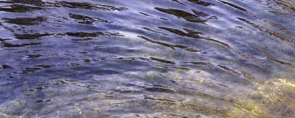 Pond texture ten by gabbyred d3c4s9u e1360838751411