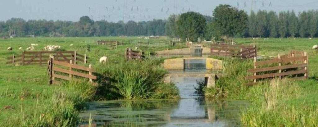 Polderlandschap t Beijersche e1363862705215