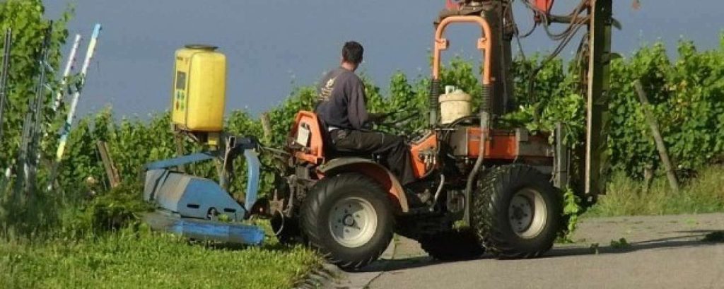 Agriculture 69012 1280 e1363879178402