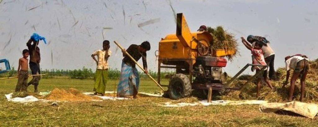Agriculture of Bangladesh 10 e1365153782274