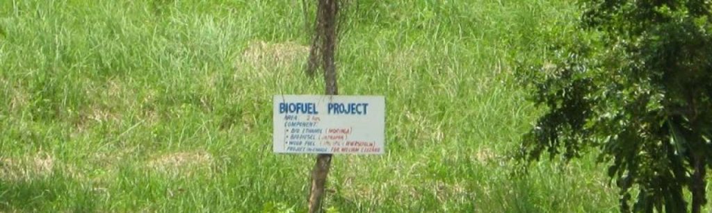 Biofuels e1366278610253
