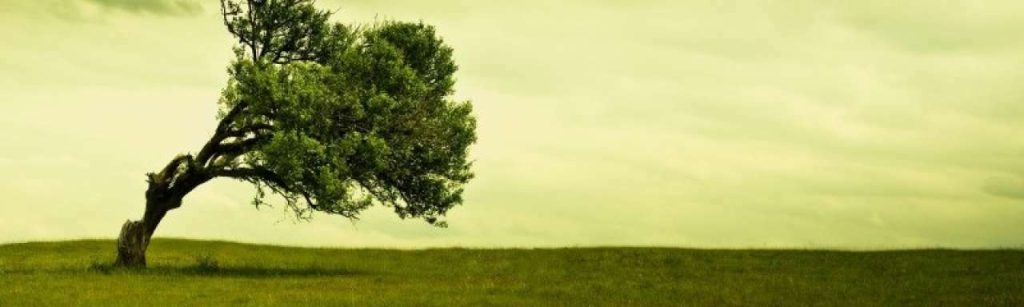 Green world 1920x1200 e1365073863437