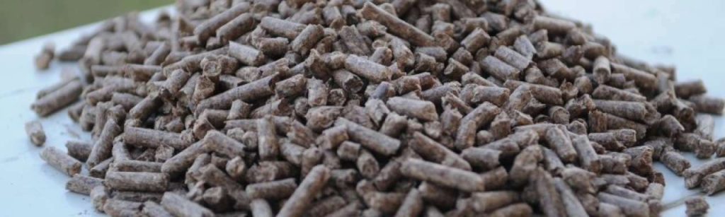 Biomass Pellets from India White coal e1367567032729