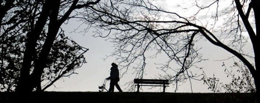 Rollator e1368617828481