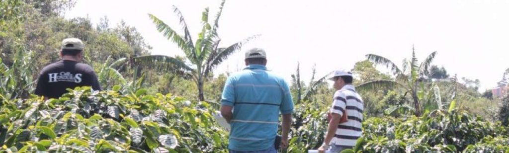Utz e1368015028915