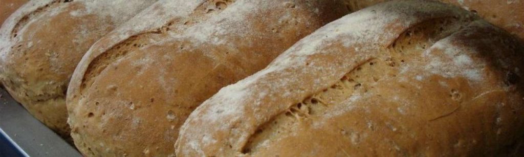 Brood e1372414957241