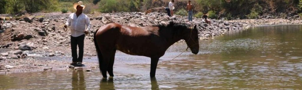Texas e1373450352878