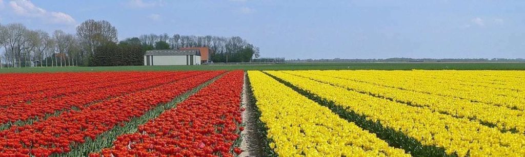 Vtveen via flickr e1378978328395