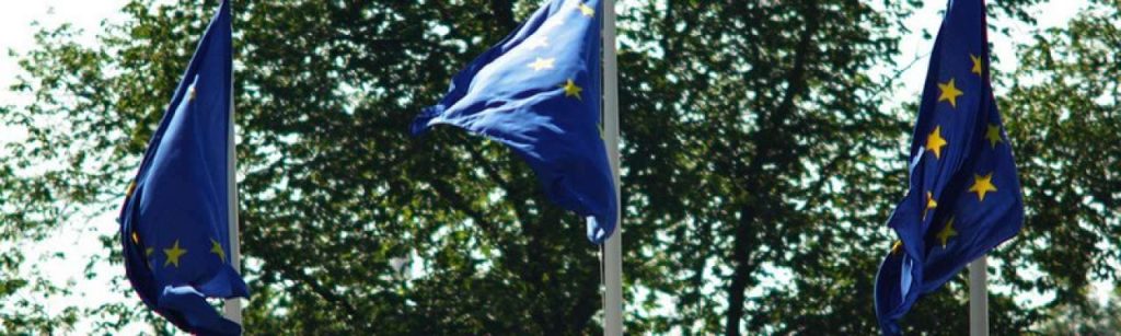 EU vlaggen2 e1386857440418
