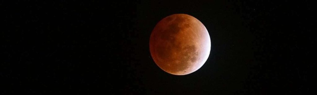 Orange Moon SD King e1389611573754