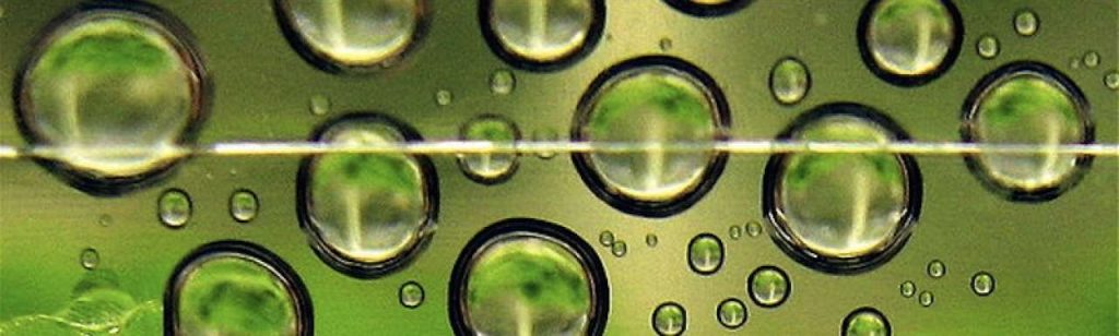 Biofuel800