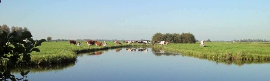 Koppen
