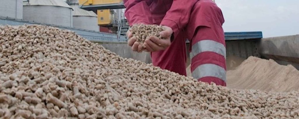 Houtpellets800