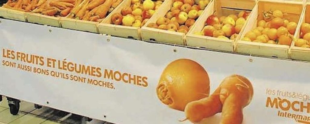 Moches800