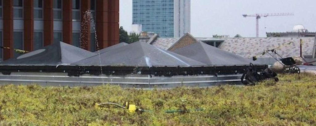 Greenroof800