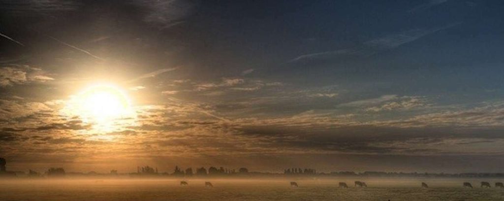 Header800
