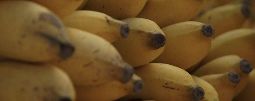 Bananenbewerkt