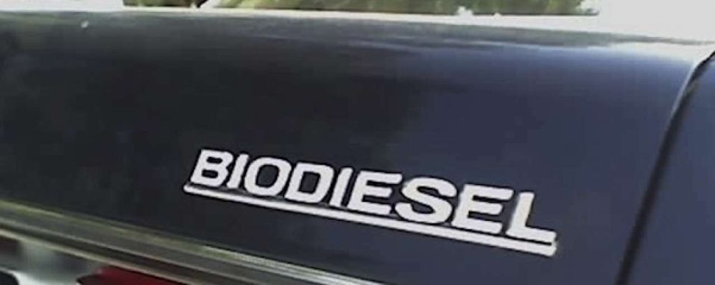 Biodiesel800