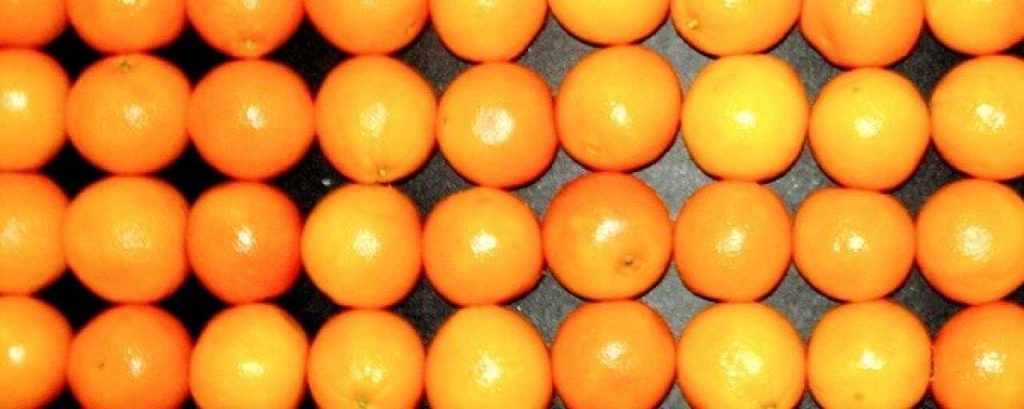 Biobrandstof uit sinaasappelen