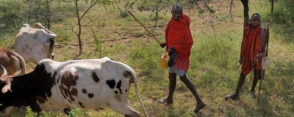 Masai vee