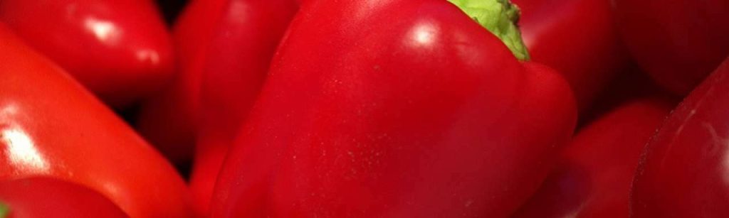 Paprika800