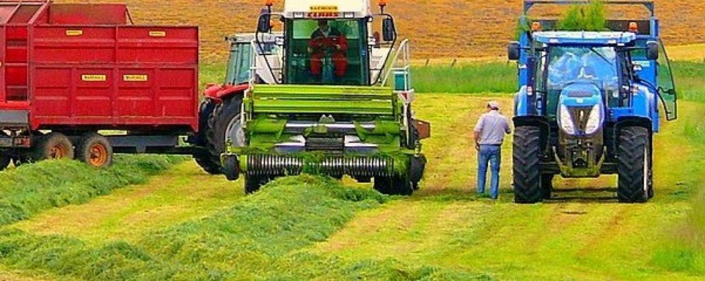 Gras maaien