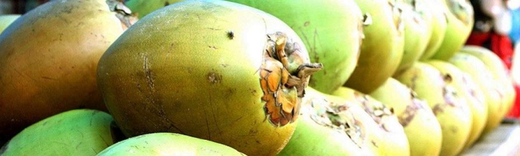 Harmless Harvest kokosnoot