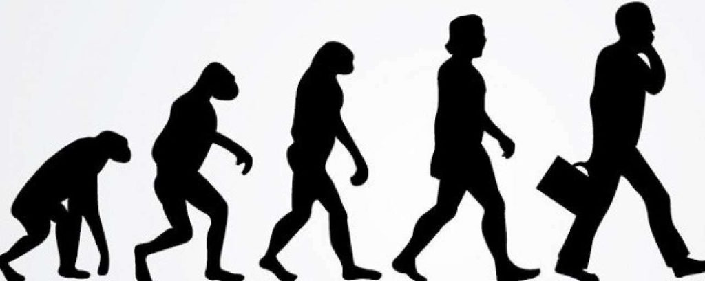 Evolutie