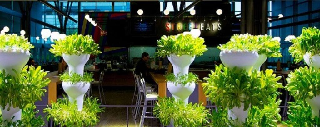Microsoft tuin