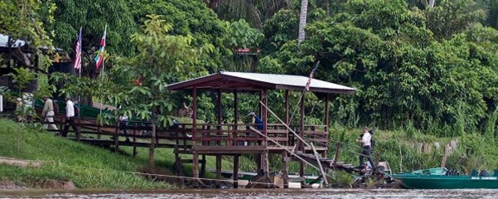 Regenwoud indonesie