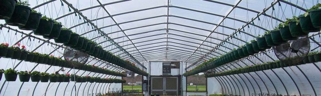 Tuinbouw