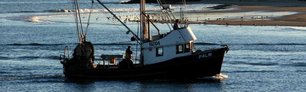 Visboot e1425460666567