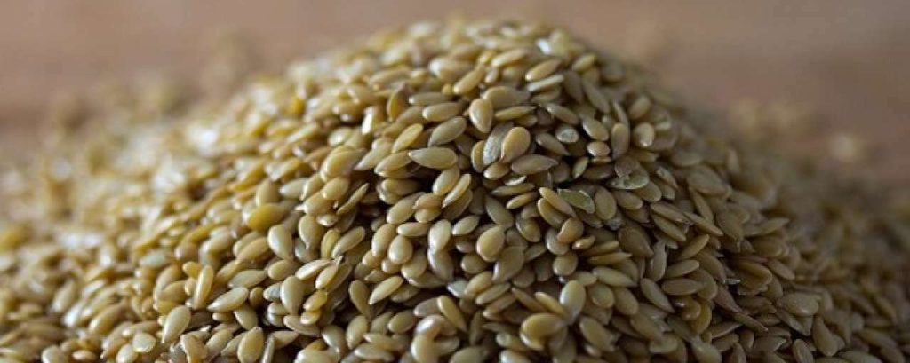 Biobased materialen