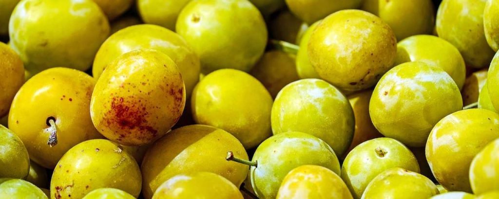 Fruit