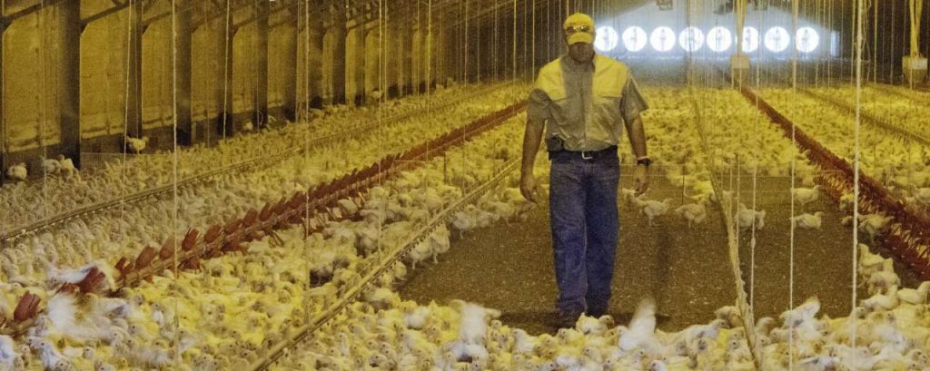 8012059653 81ffa878f6 k28129