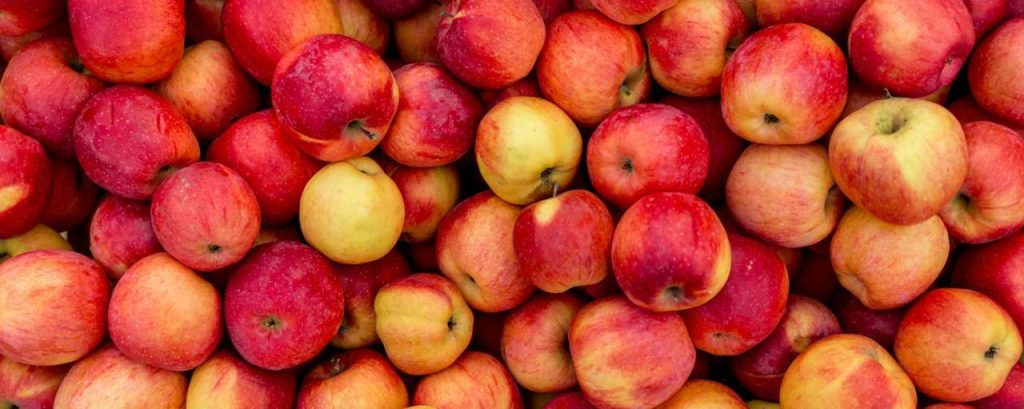 Appels