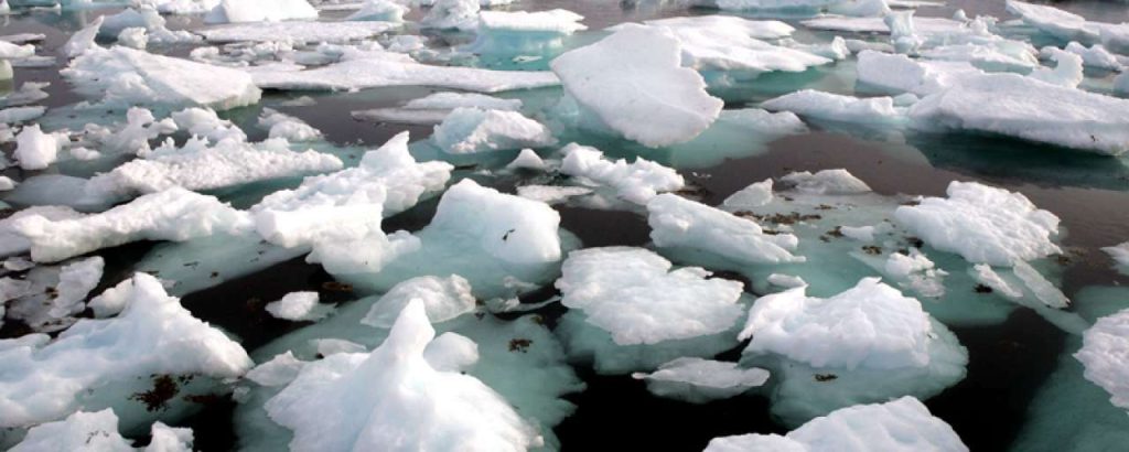 More ice ice baby