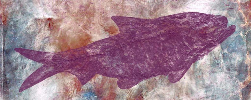12911307235 b4a65e1732 k