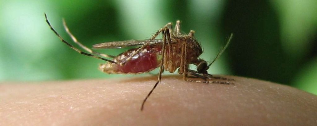 Van Goghmuseum
