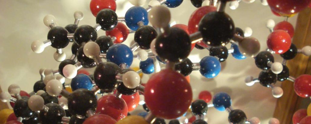Mutti Science Amine Bio Cat