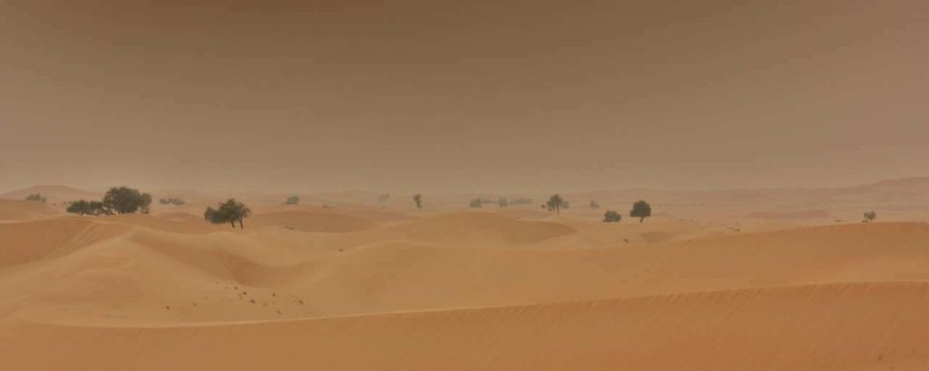 Abu Dhabi desert