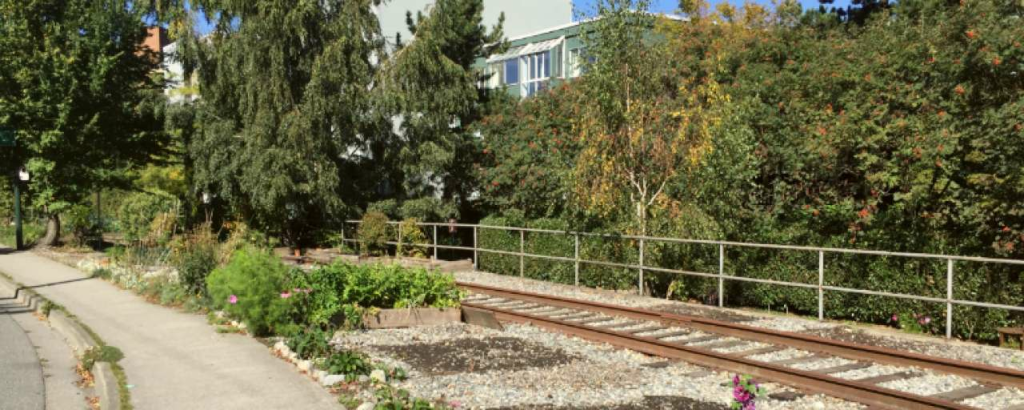Arbutus Corridor