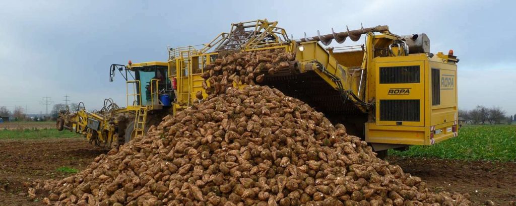 Erasmusbrug Rotterdam 2015