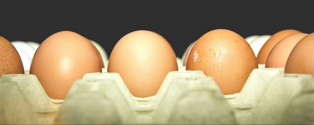 Eggs 933399 1920