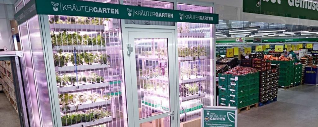Hightech greenhouse infarm